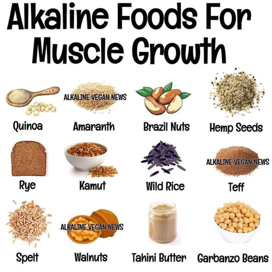 The Sea Moss Body Building Alkaline Protein Shake